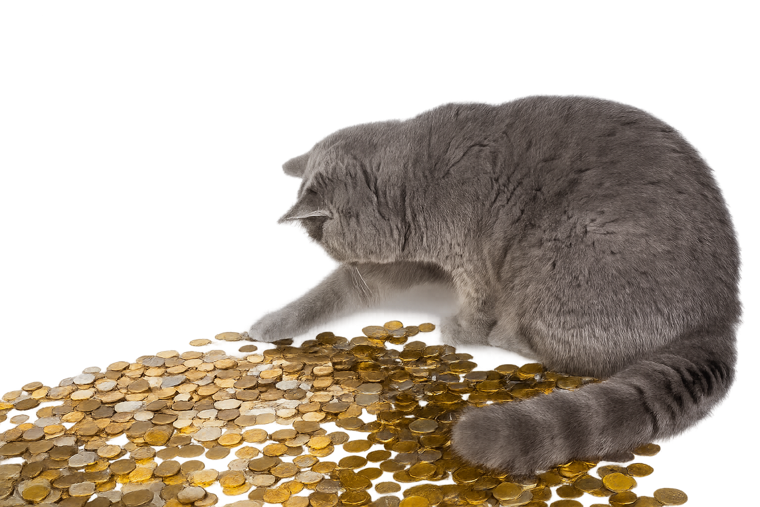 chatgpt image 28. märz 2026, 03 18 43