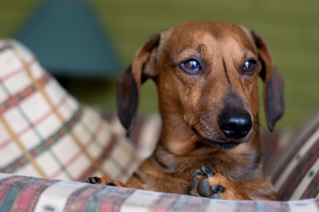 gfb14eff46ff9587eb397f8b2dead24482447fbe6abb2bd341af37c1978db74f2aa38af62b9a579a67ccc9183ec04a5f6f2951f3927170e07db9c8b355205ca4b 1280 3672948