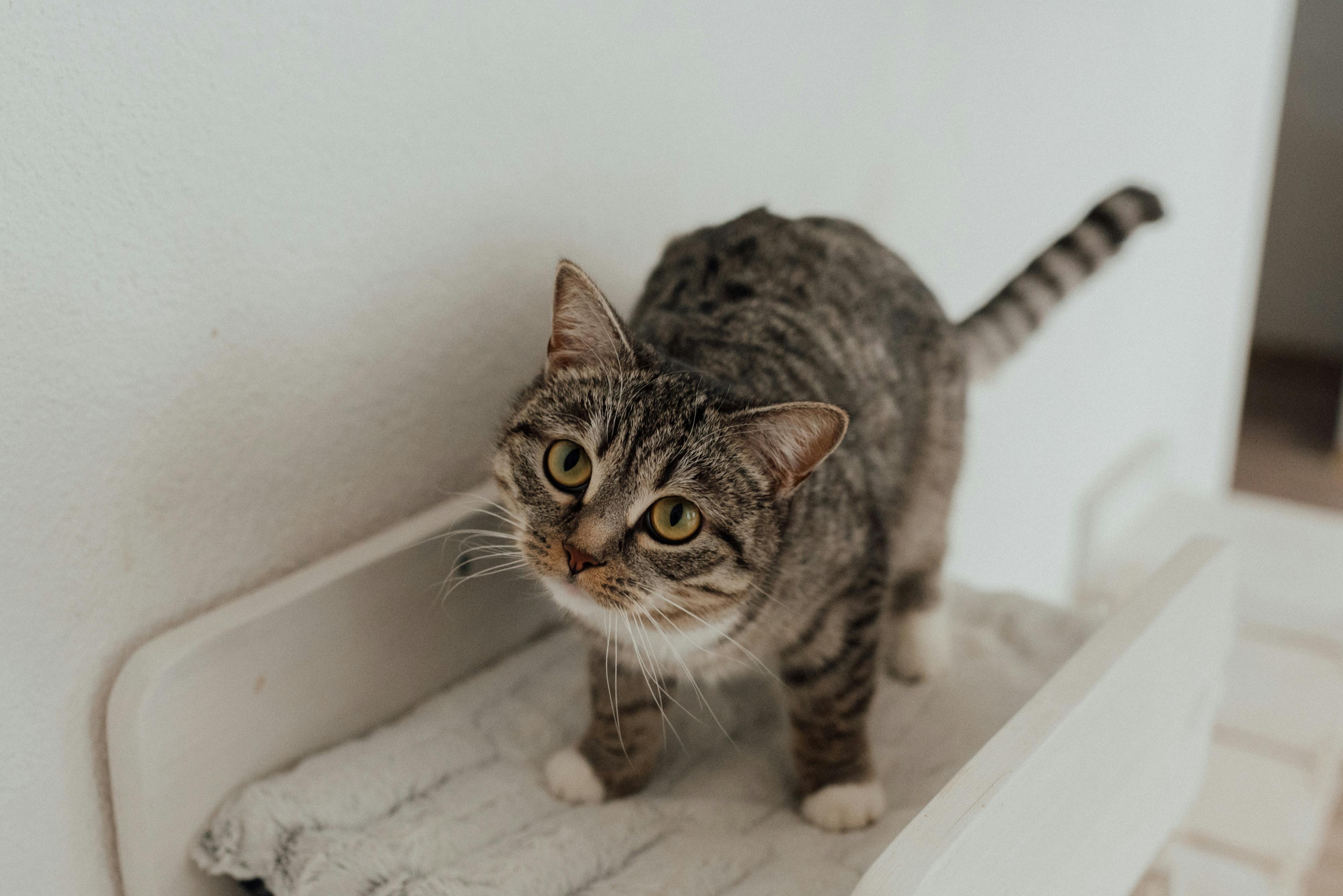 pexels photo 7725983 7725983